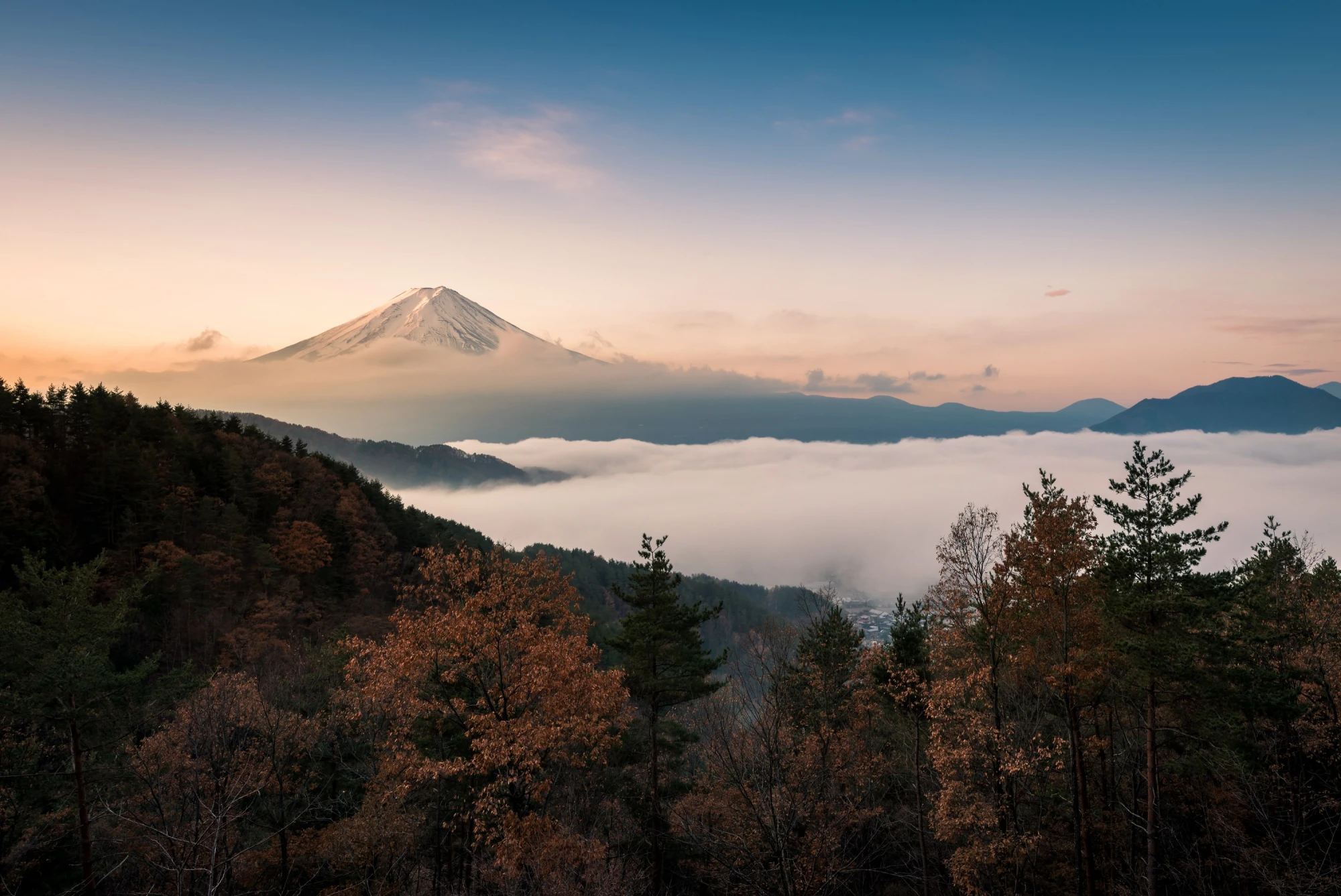 Blick auf den Berg Fuji, der über einer Wolkendecke in herbstlicher Waldlandschaft aufragt, mit sanften Pastellfarben des Sonnenaufgangs im Hintergrund.