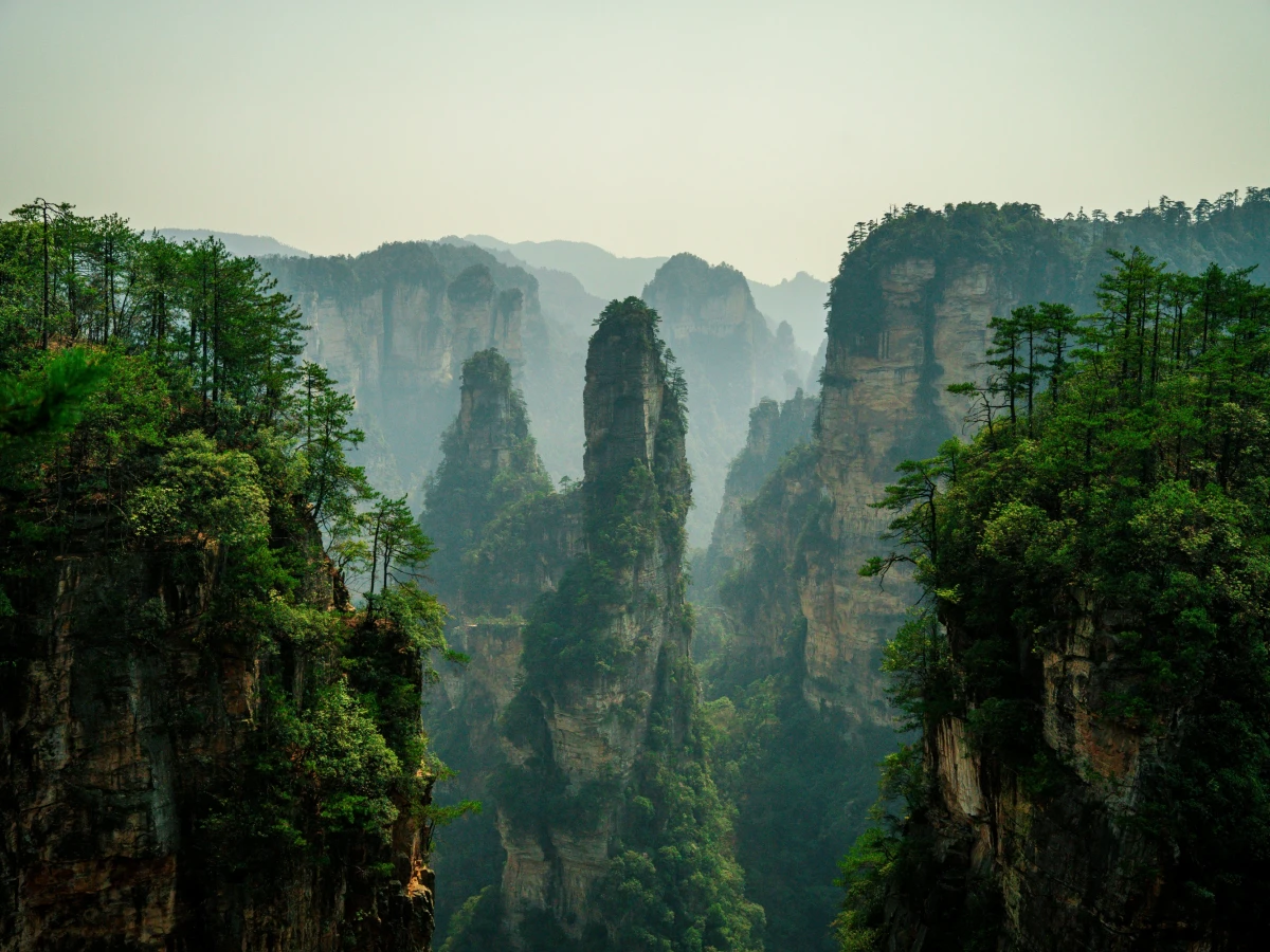 Hohe, steile Felstürme ragen mit bewachsenen Spitzen aus einem nebligen Tal, umgeben von dichten Wäldern und dramatischen Bergformationen, die an die legendären Landschaften von Zhangjiajie in China erinnern.