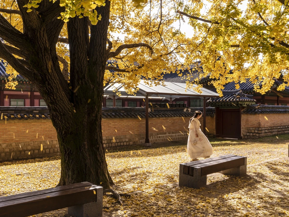 Gyeongbok Palace in Seoul