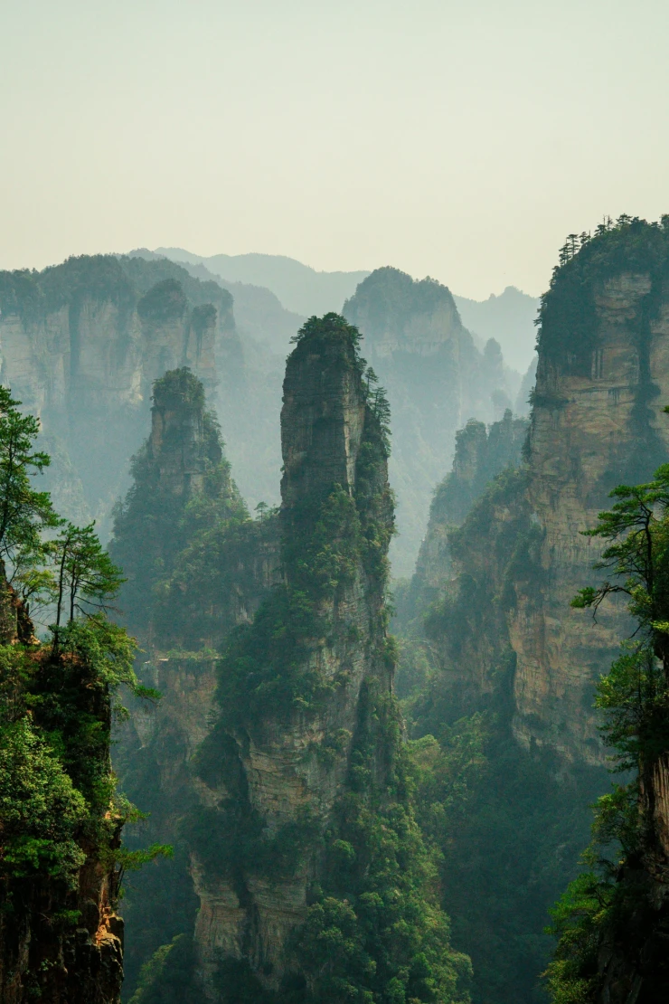 Hohe, steile Felstürme ragen mit bewachsenen Spitzen aus einem nebligen Tal, umgeben von dichten Wäldern und dramatischen Bergformationen, die an die legendären Landschaften von Zhangjiajie in China erinnern.