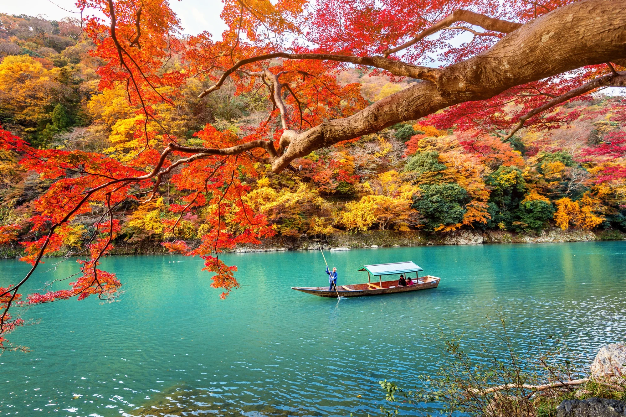 Traditionelles japanisches Holzboot auf einem türkisfarbenen Fluss, umgeben von herbstlich gefärbten Bäumen in leuchtenden Rot- und Gelbtönen. Ein Ruderer steuert das Boot unter einem ausladenden Ast mit feuerroten Blättern.