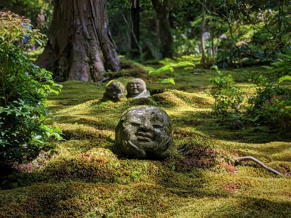 Mossbewachsene Steinköpfe ruhen auf einem üppigen, grünen Moosteppich in einem dichten Waldgarten, umgeben von alten Bäumen und üppiger Vegetation, was eine ruhige und mystische japanische Gartenatmosphäre vermittelt.